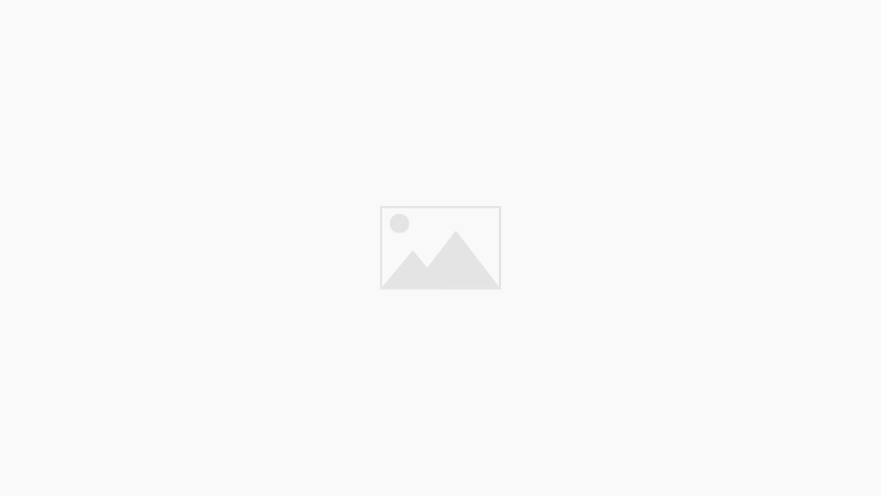 Estatuto Docente de la Provincia de Buenos Aires